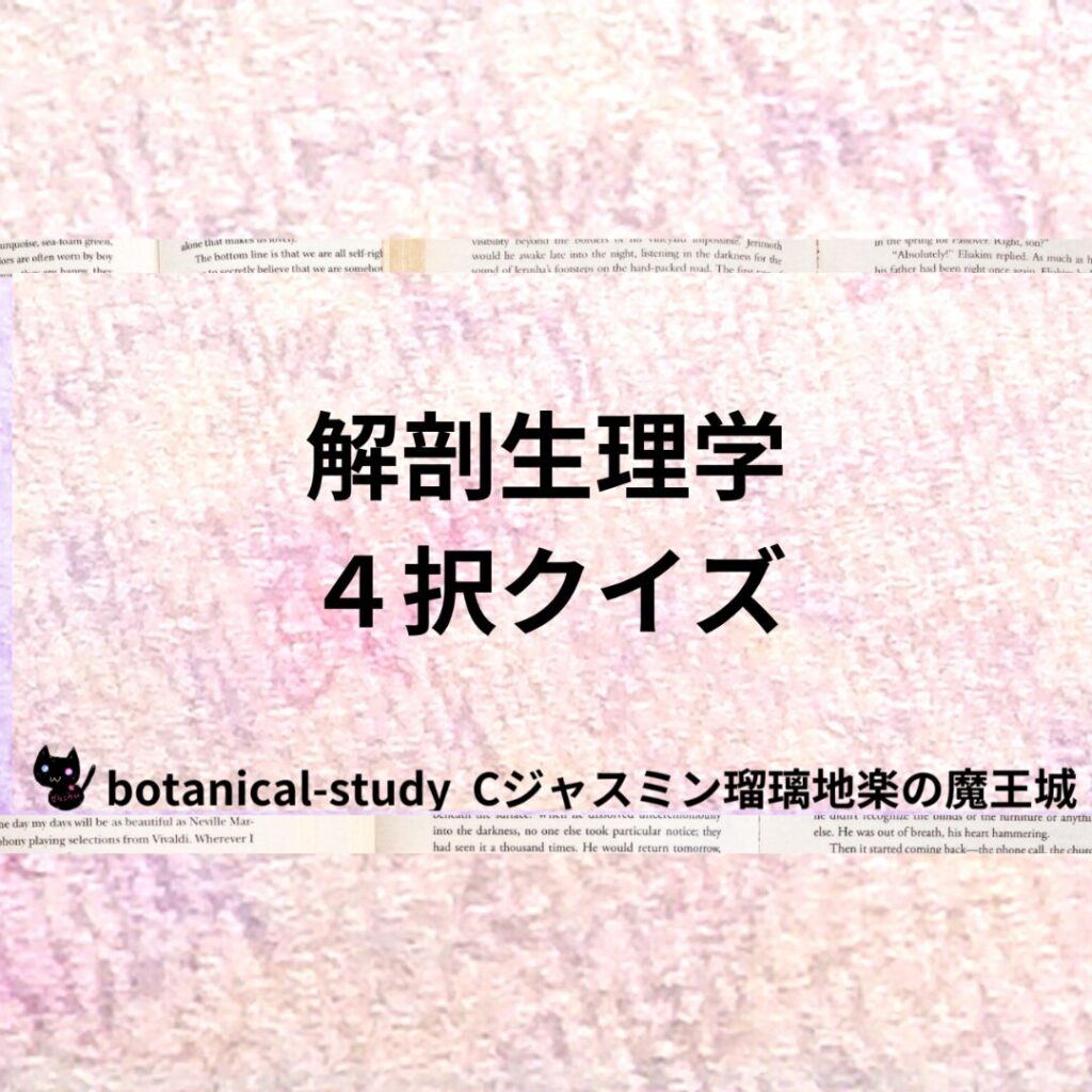 解剖生理学４択クイズのHPバナー