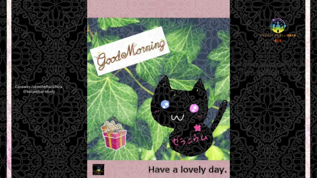 誕生花1月21日アイビー