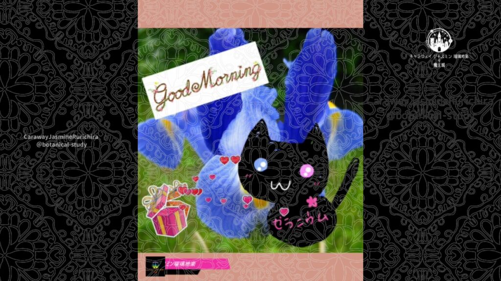 誕生花3月18日アイリス