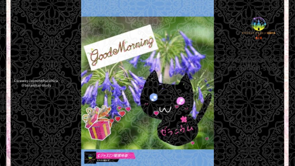 誕生花7月29日アガパンサス