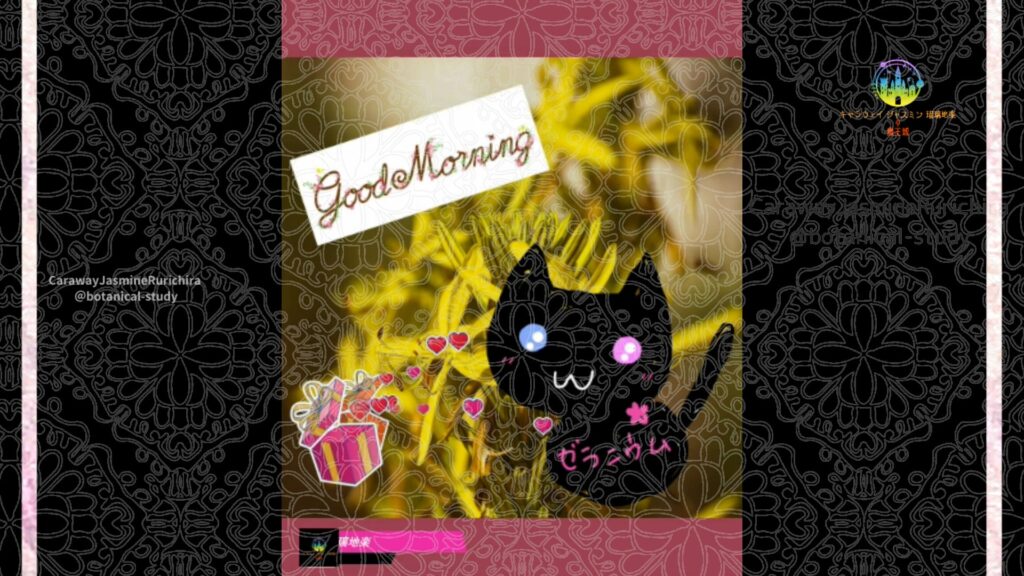 誕生花11月6日アスフォデリネ