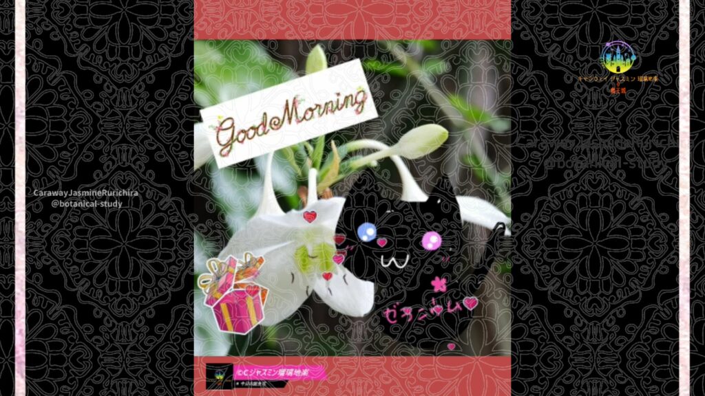 誕生花11月10日アマゾンリリー