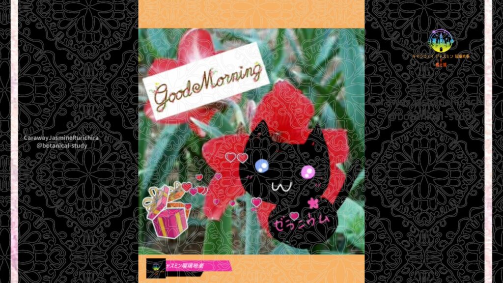 誕生花6月21日アマリリス