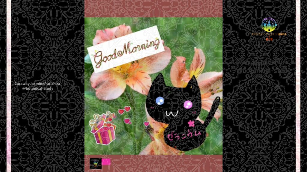 誕生花11月19日アルストロメリア