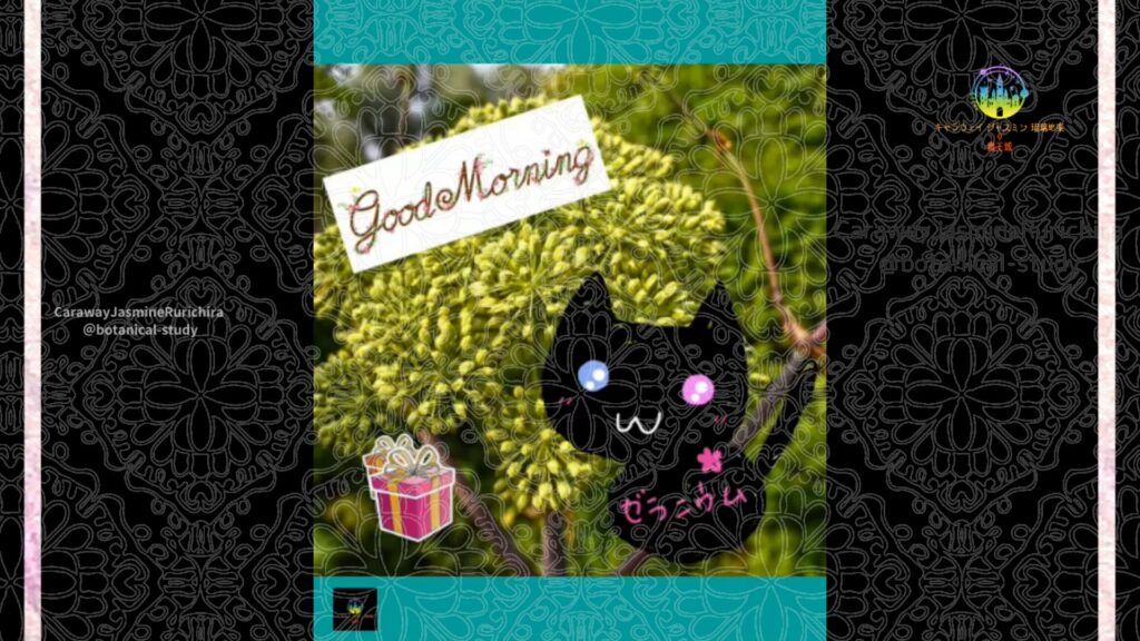 誕生花12月28日アンゼリカ