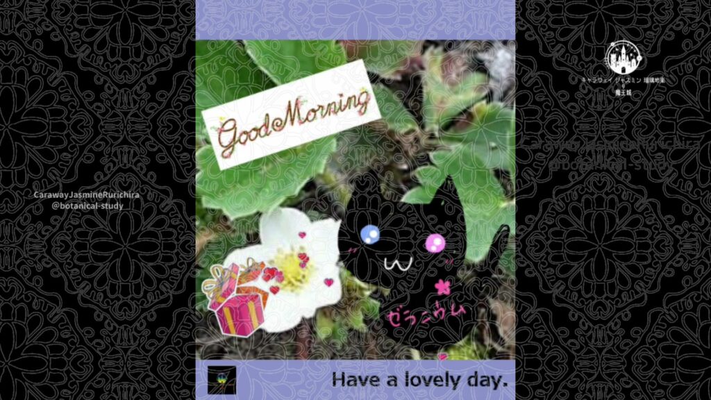 誕生花3月31日イチゴ