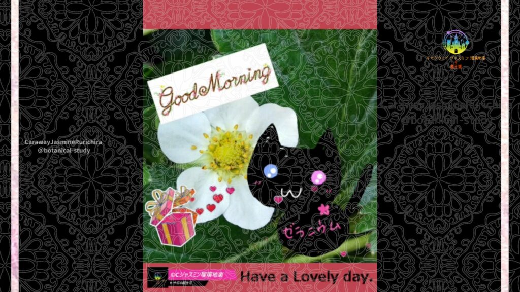 誕生花4月13日イチゴ