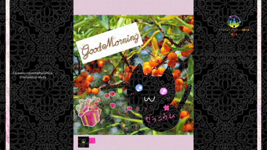 誕生花10月15日ウメモドキ