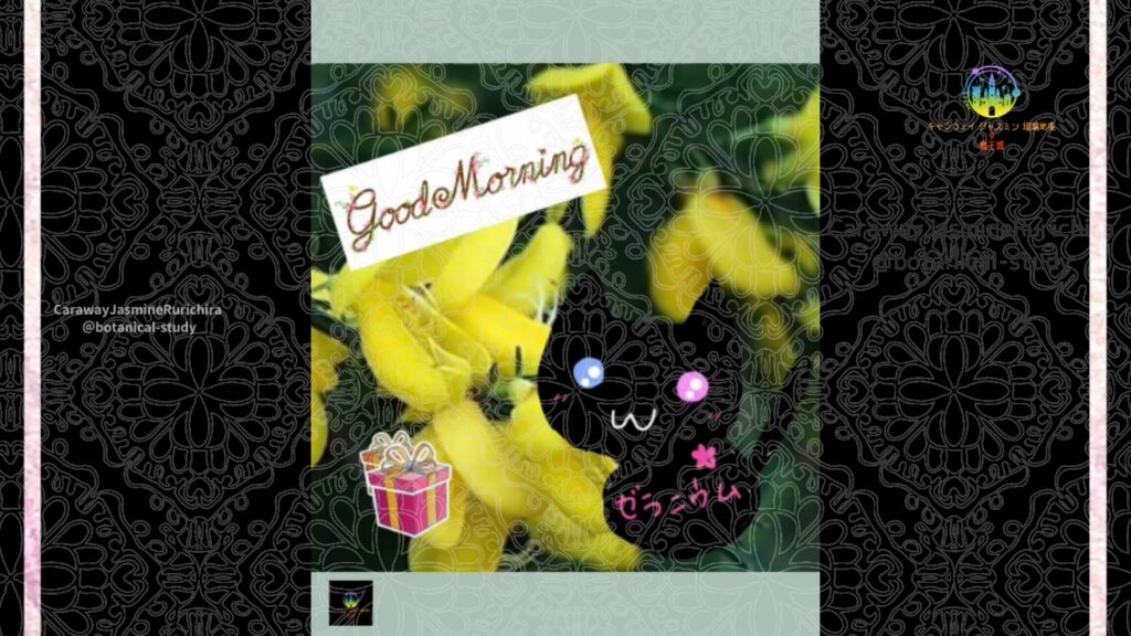 誕生花9月20日エニシダ