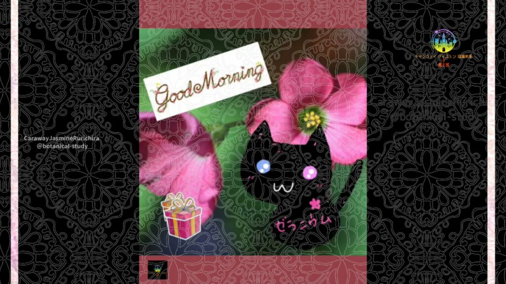 誕生花11月21日オキザリス