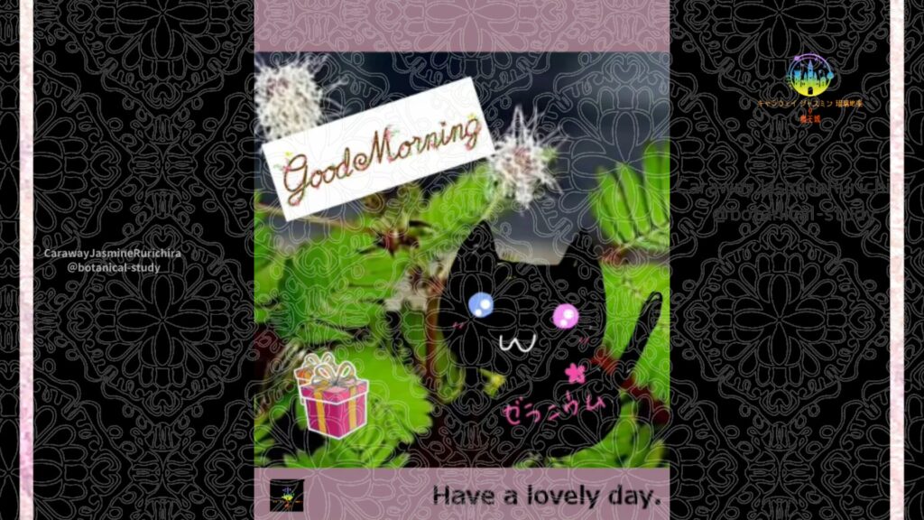 誕生花1月26日オトギリソウ