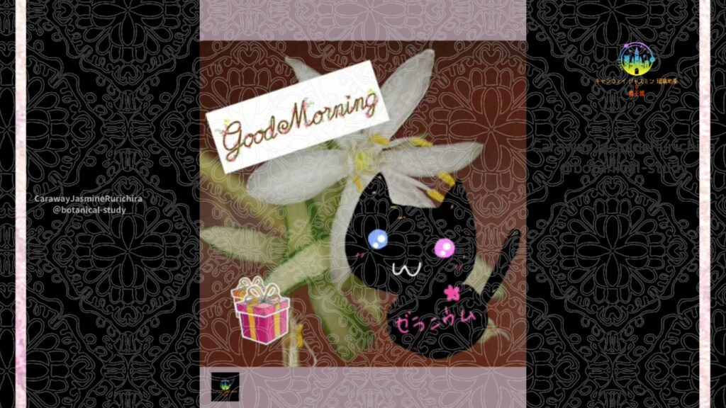 誕生花9月16日オリヅルラン