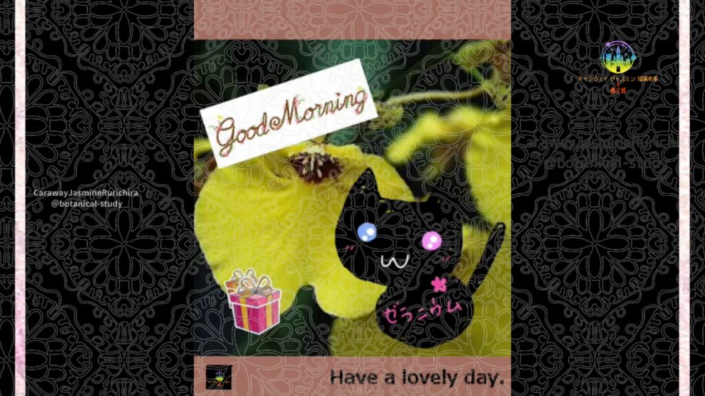 誕生花1月15日オレンジウム