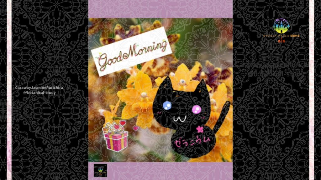 誕生花10月9日オレンジューム