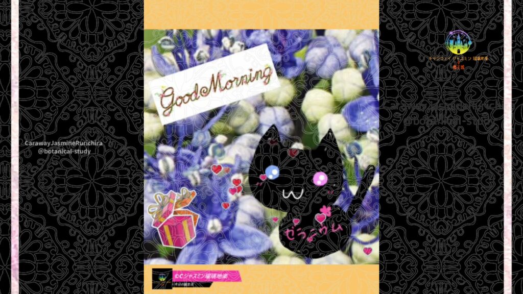 誕生花6月11日ガクアジサイ