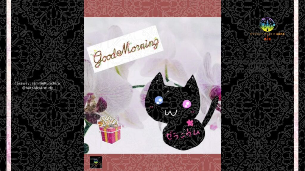 誕生花1月17日コチョウラン
