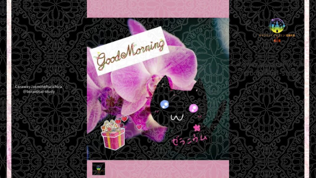 誕生花10月17日コチョウラン