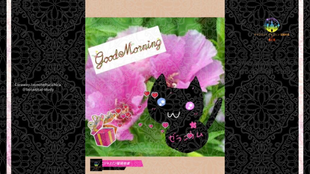 誕生花6月9日ゴデチア