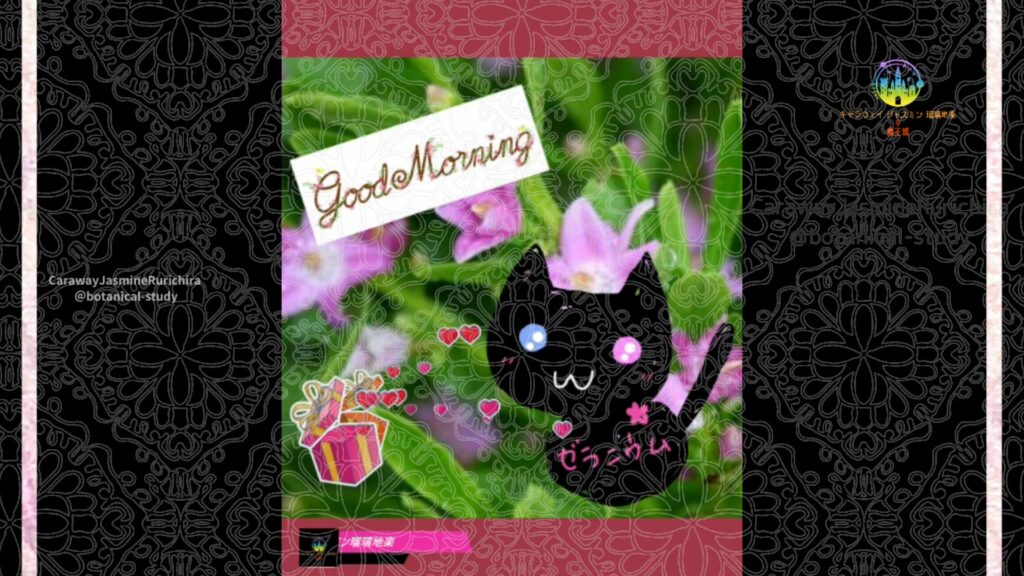 誕生花11月5日サザンクロス