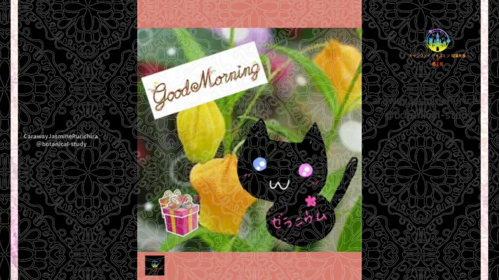 誕生花6月27日サンダーソニア
