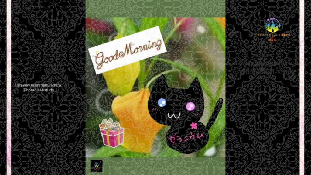 誕生花9月19日サンダーソニア