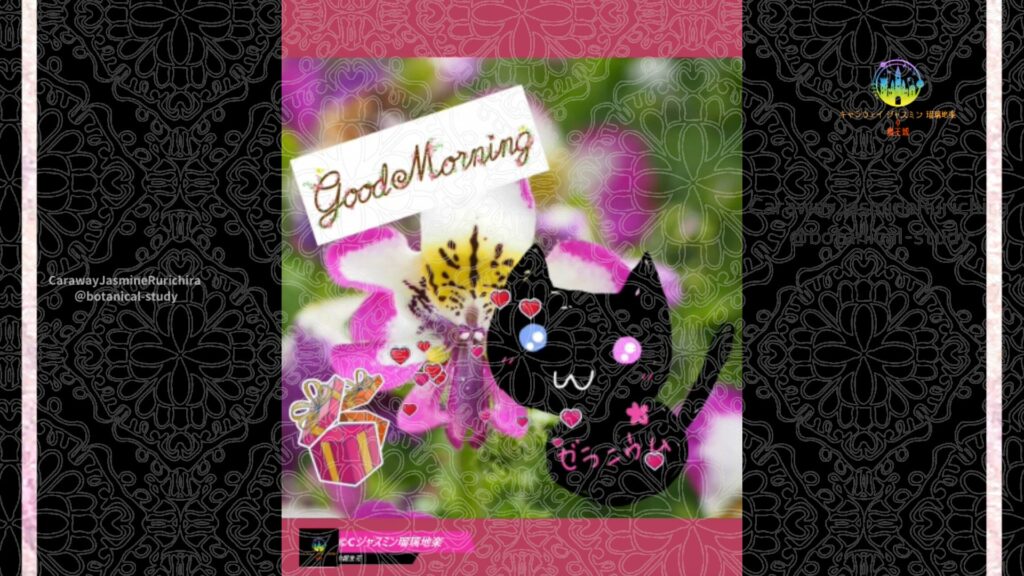 誕生花11月日