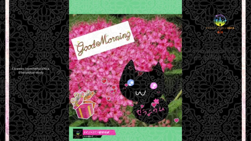 誕生花6月14日シモツケ