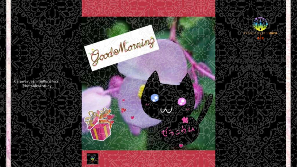 誕生花11月日