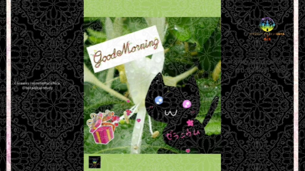 誕生花6月22日スイカズラ