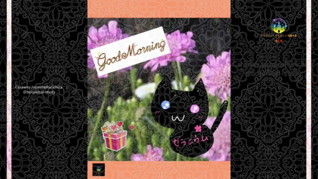 誕生花6月30日スカビオサ