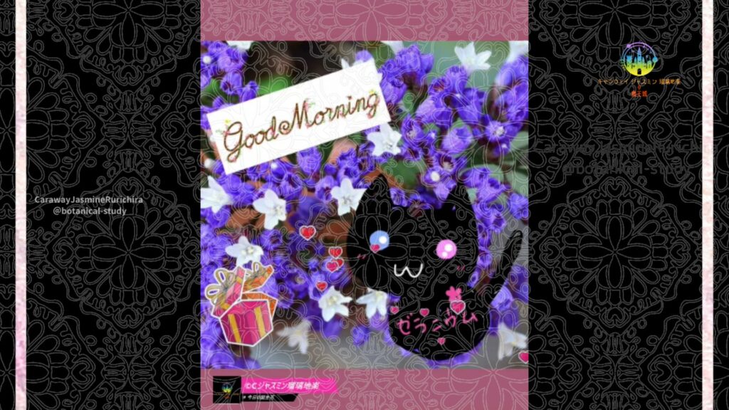 誕生花11月11日スターチス
