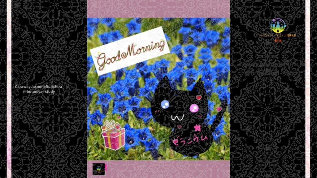 誕生花11月25日セントポーリア