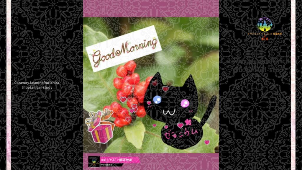 誕生花11月13日センリョウ