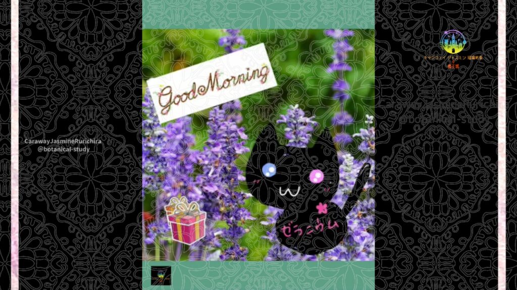 誕生花12月24日セージ