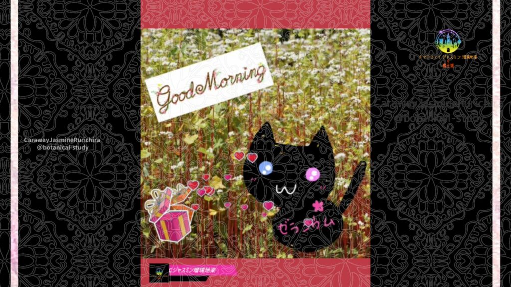 誕生花11月日
