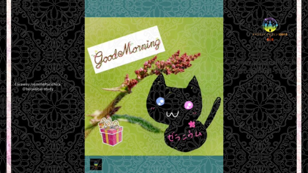 誕生花12月1日ソバ