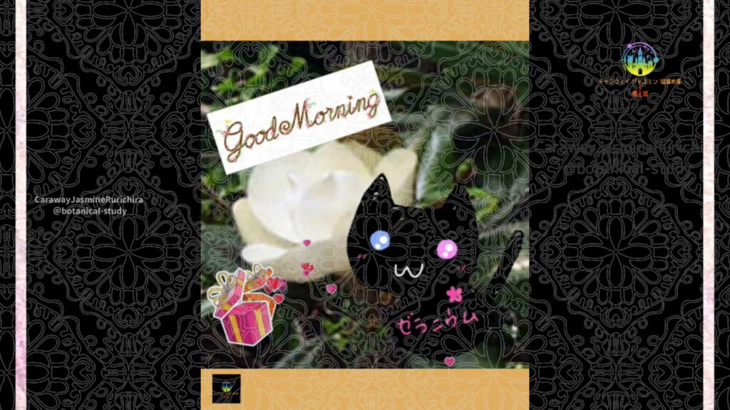 誕生花6月8日タイサンボク