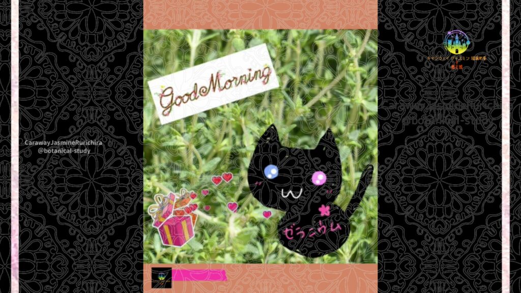 誕生花6月18日タイム