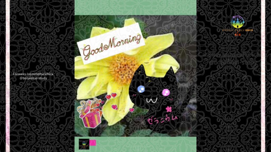 誕生花6月5日ダリア