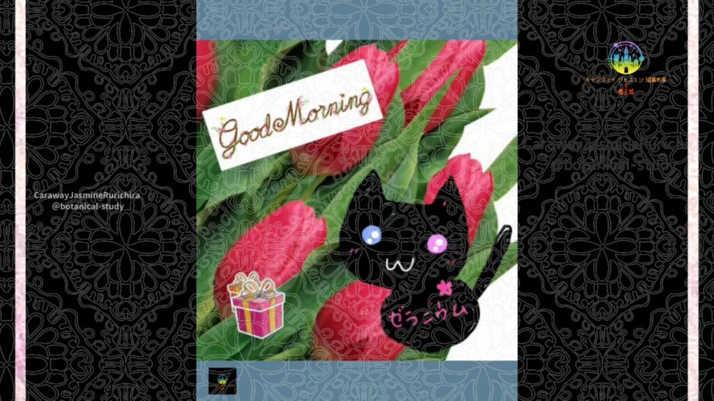誕生花12月15日チューリップ