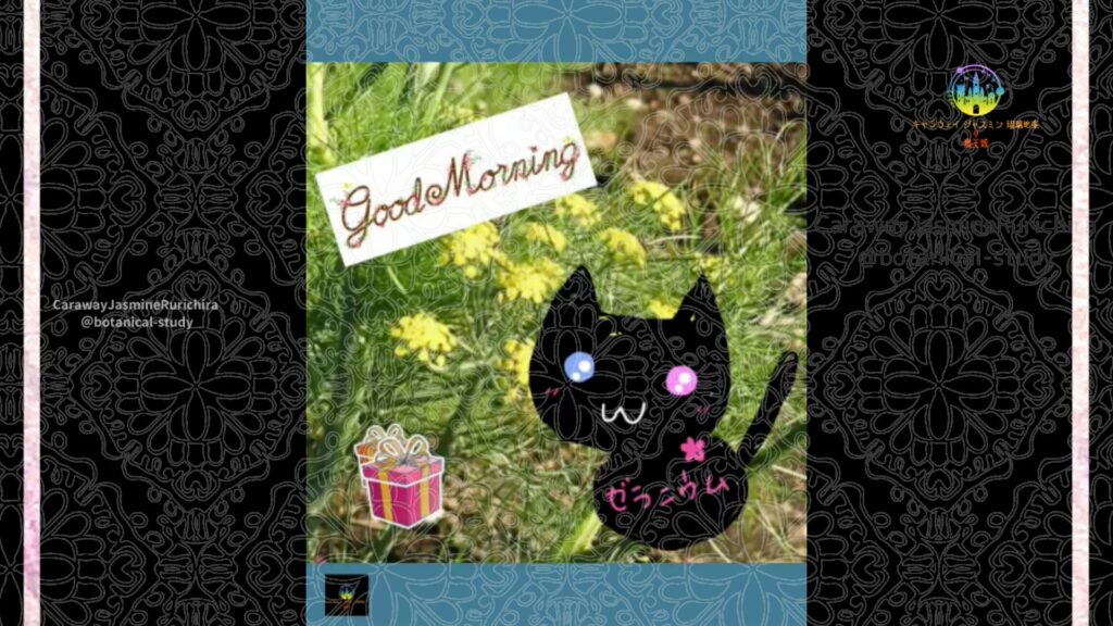 誕生花12月27日ディル
