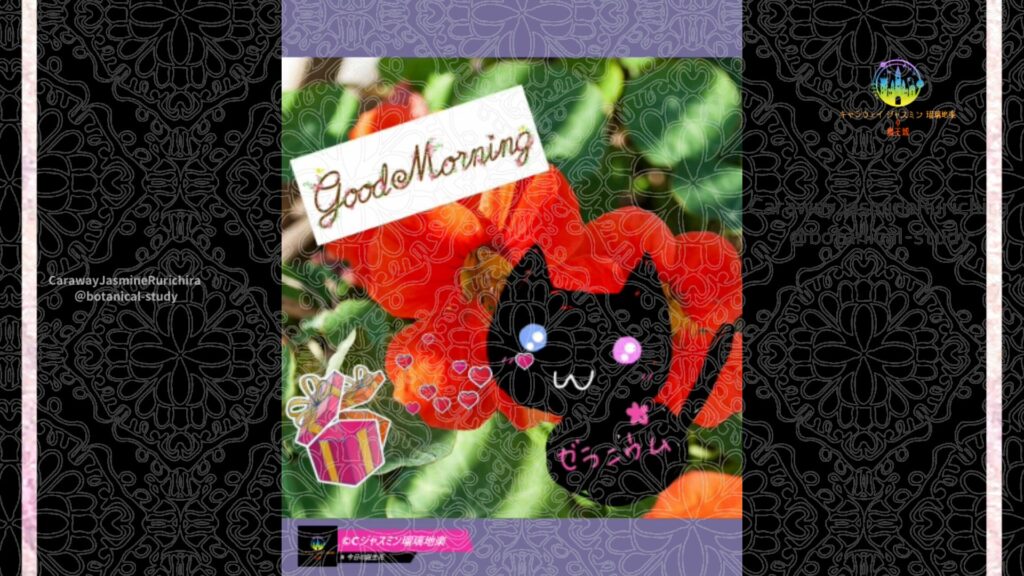 誕生花9月6日ナスタチウム