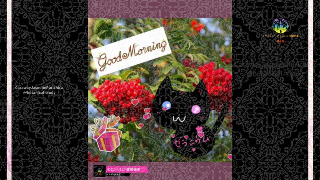 誕生花11月18日ナナカマド