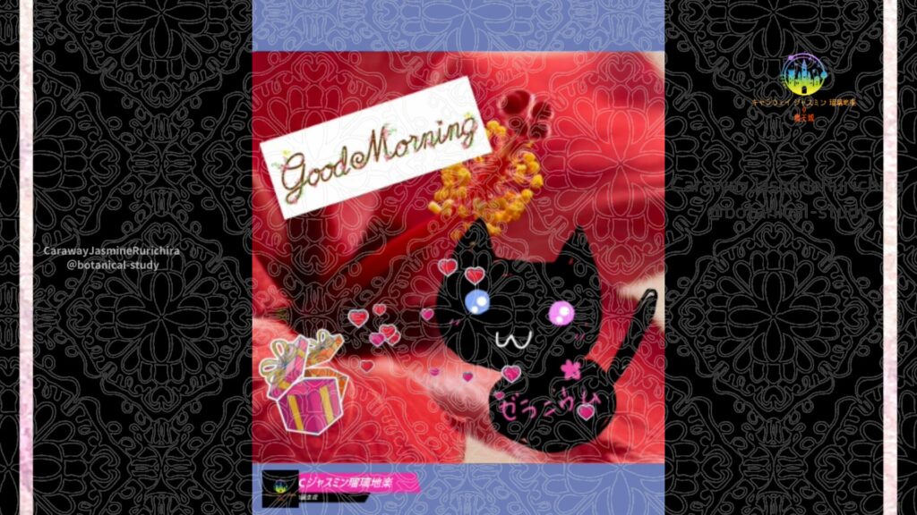 誕生花7月25日ハイビスカス