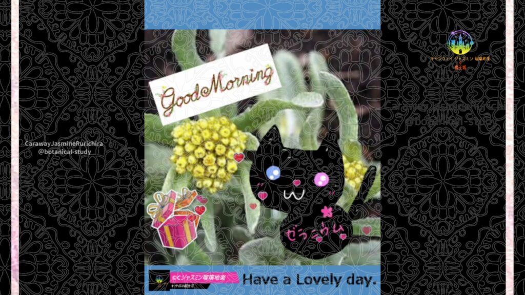 誕生花4月25日ハハコグサ