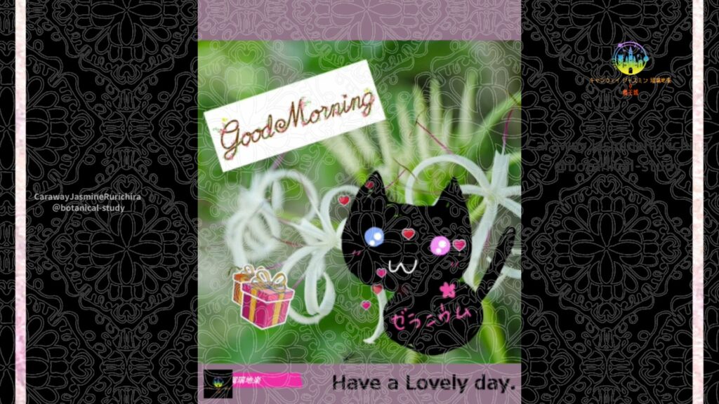 誕生花8月25日ハマユウ