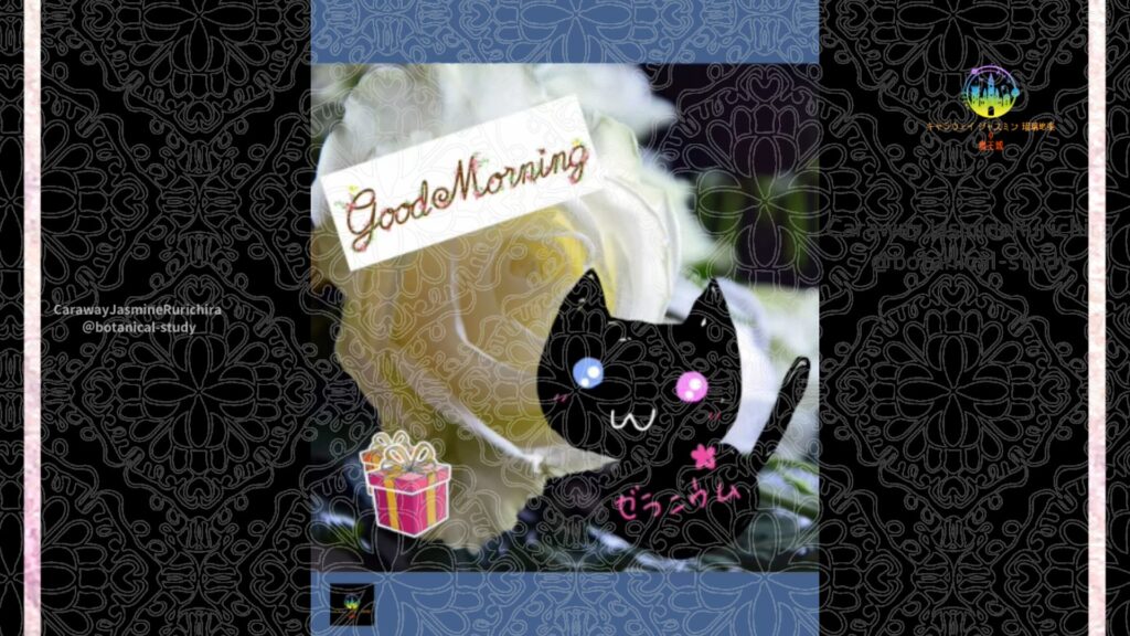 誕生花12月11日バラ