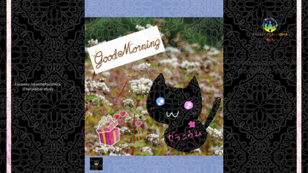 誕生花10月6日ヒメツルソバ