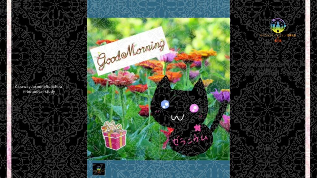 誕生花12月18日ヒャクニチソウ