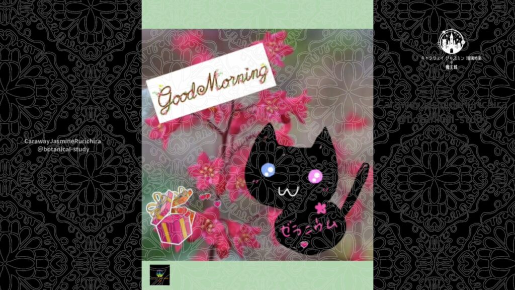 誕生花3月13日ヒューケラ